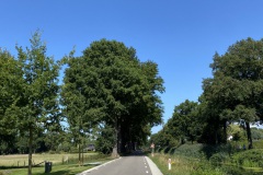 IMG_2871