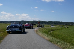 P1000626