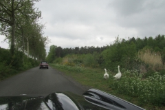 IMG_20190428_104940