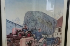 20190310_115556_resized