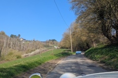 PXL_20260322_130535907.PORTRAIT