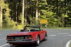 IMG_1569-crop