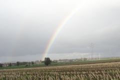 UMCLN7q5TmKLb%VrnSMKZw_thumb_1401e