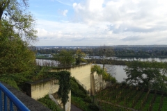 UNADJUSTEDNONRAW_thumb_14000