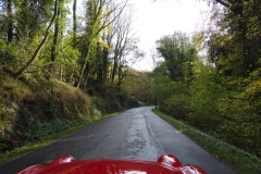 UNADJUSTEDNONRAW_thumb_14014