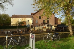 UNADJUSTEDNONRAW_thumb_1401f