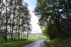 bLulXq0%QPGdRtgOEswGQg_thumb_1400c