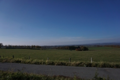 DSC03697