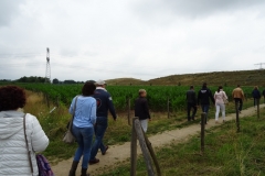 UNADJUSTEDNONRAW_thumb_13fb1