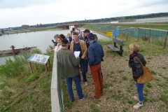 UNADJUSTEDNONRAW_thumb_13fb2