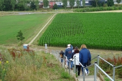 UNADJUSTEDNONRAW_thumb_13fb7