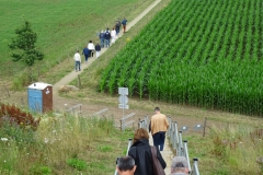 UNADJUSTEDNONRAW_thumb_13fb9