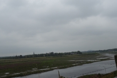 UNADJUSTEDNONRAW_thumb_13fbe