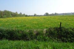 DSC04705