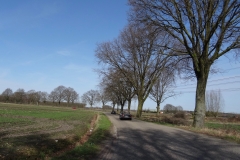 DSC04435