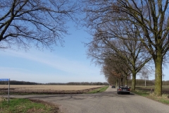 DSC04436